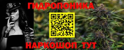 ГАЛЛЮЦИНОГЕННЫЕ ГРИБЫ Новозыбков