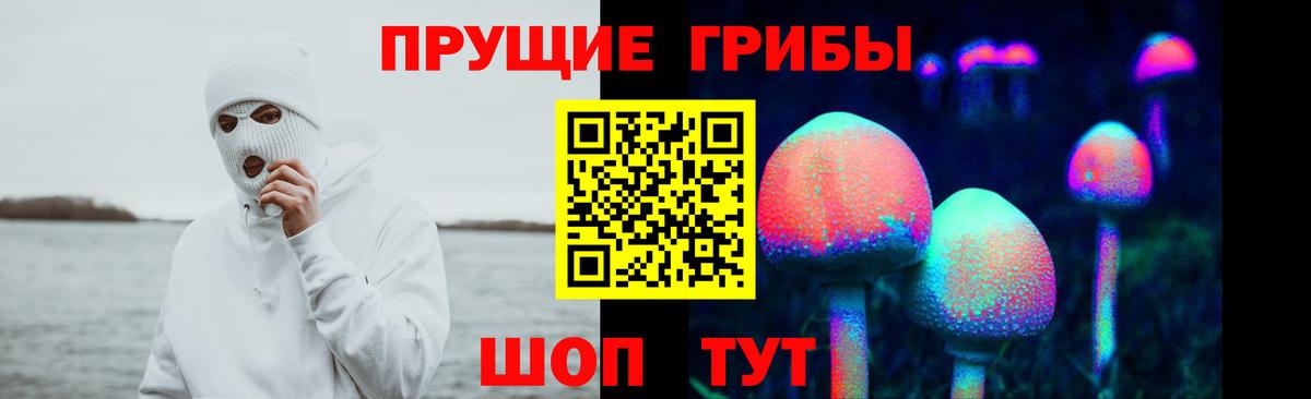 Галлюциногенные грибы ЛСД  Галлюциногенные грибы Magic Shrooms  Вход с VPN  Сокол 